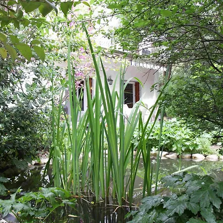 Indiana Herisson Juan-les-pins *